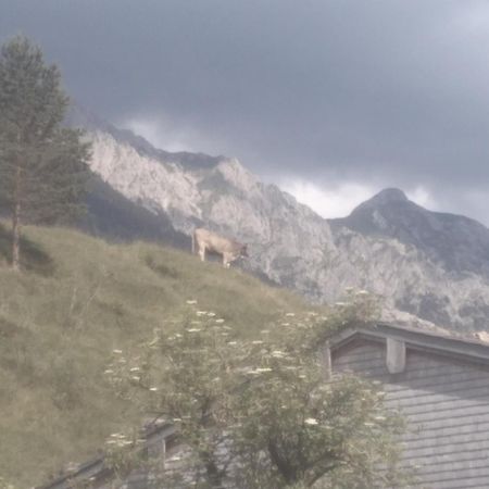 Villa Holzhaus Besler Bad Hindelang Exterior foto