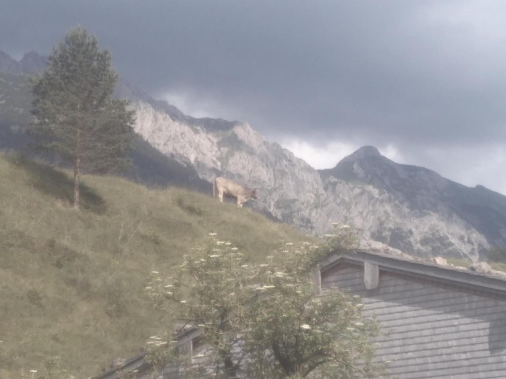 Villa Holzhaus Besler Bad Hindelang Exterior foto